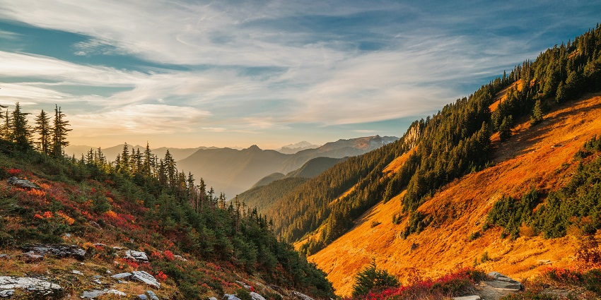 A glimpse of Mount Baker-Snoqualmie National Forest near North Cascades National Park.