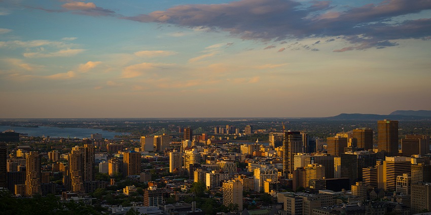 A picture of Mount Royal Park to celebrate Valentine's Day in Montreal close to nature.