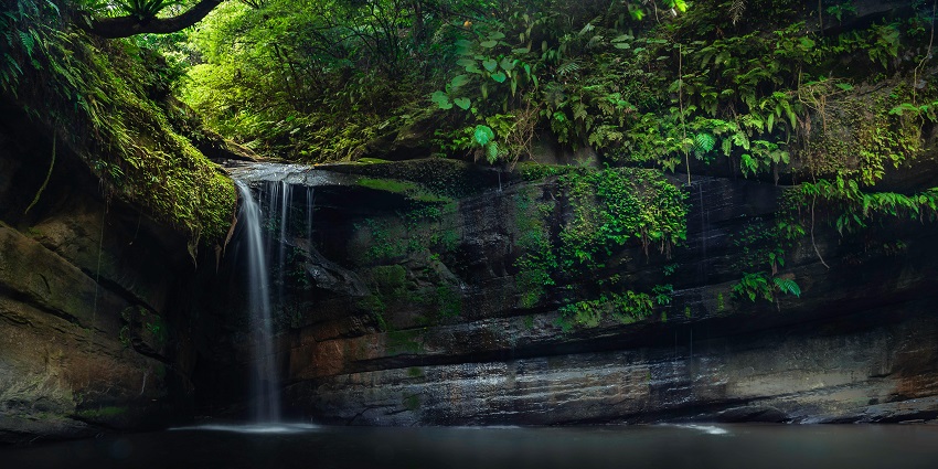 One of the waterfalls in California, surrounded by lush green trees, and serene landscapes.