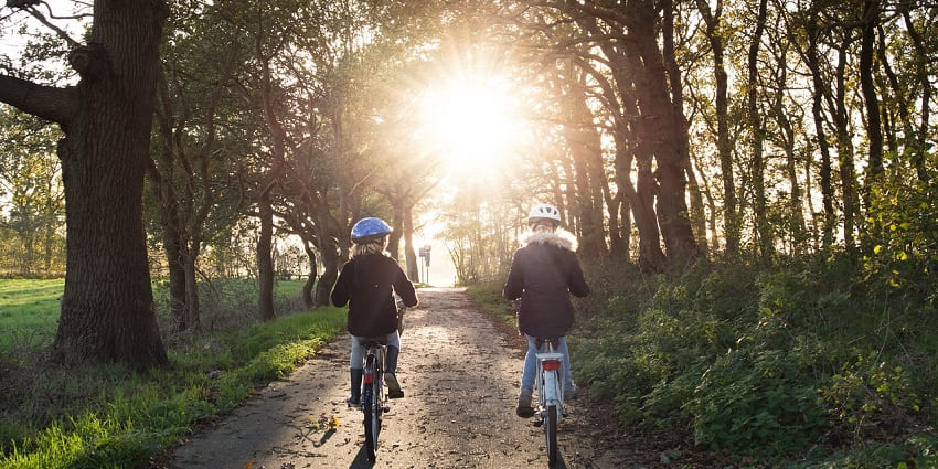 Mountain Biking Adventure Sports in Yelagiri, an exhilarating ride on rugged terrains