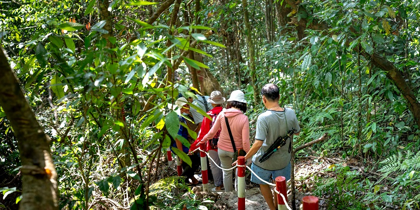 An image of the adventurers participating in a fitness activity during a jungle safari.