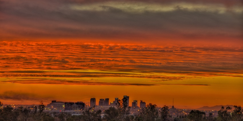 A photo of North Phoenix, Arizona, with red and orange plumage surrounded by greenery.