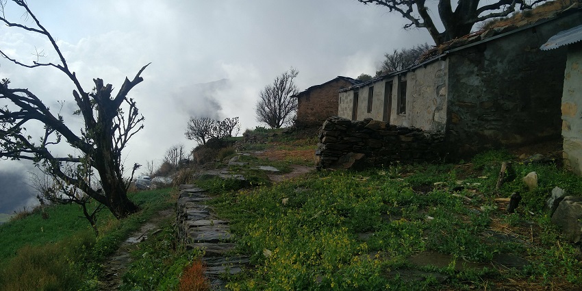 Challenging trek to Nag Tibba, known for panoramic views and natural beauty.
