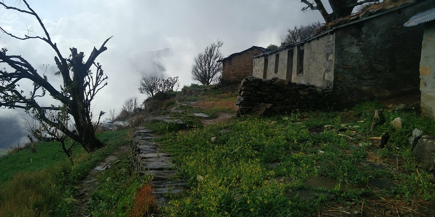 Nag Tibba, referred to as Serpents Peak, is a place near Devalsari Temple