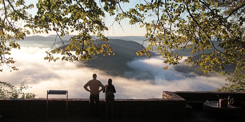 A picture of Nallamudi Viewpoint, showcasing rolling hills and tea plantations.