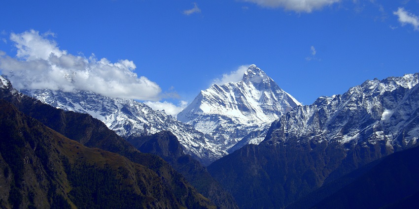 The best camp in Auli, surrounded by breathtaking landscapes and diverse wildlife.