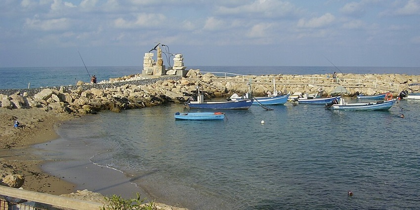 View of a peaceful beach offering crystal-clear waters and a tranquil vibe