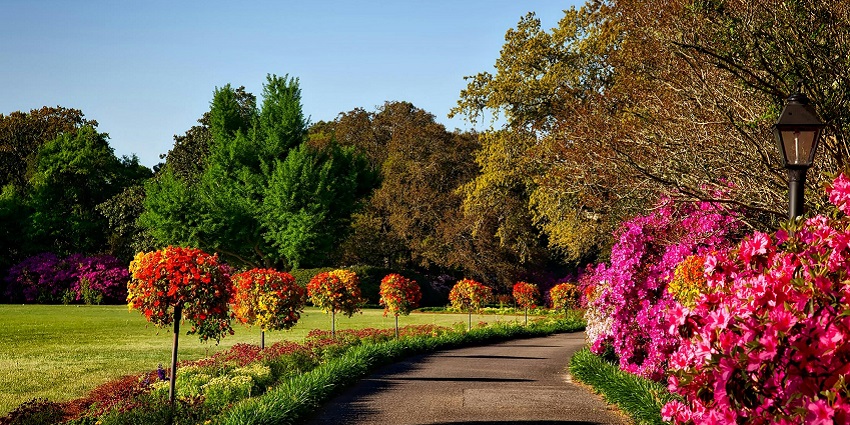 A picture of a green park; one of the most relaxing places to visit in Aligarh.