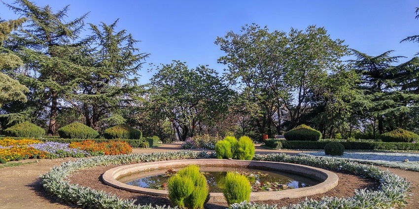 Exquisite botanical garden offering diverse flora and scenic walking paths in tbilisi.