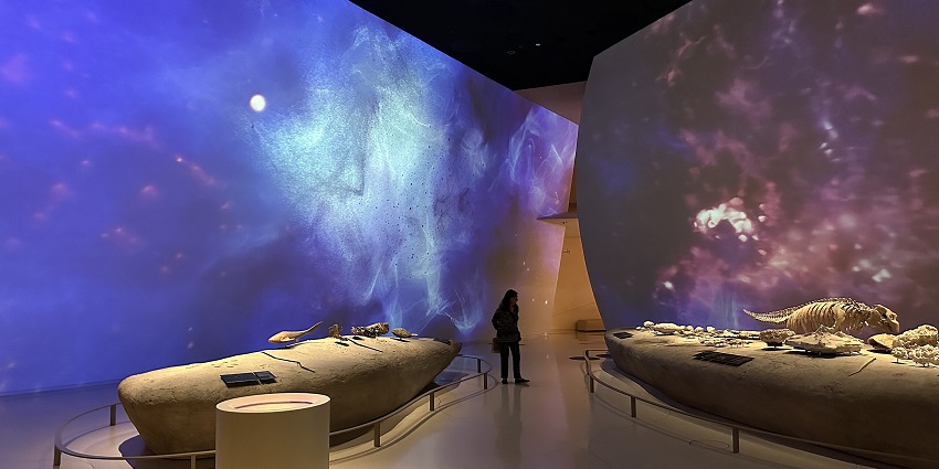 Stunning museum showcasing Qatar’s history, culture, and heritage.