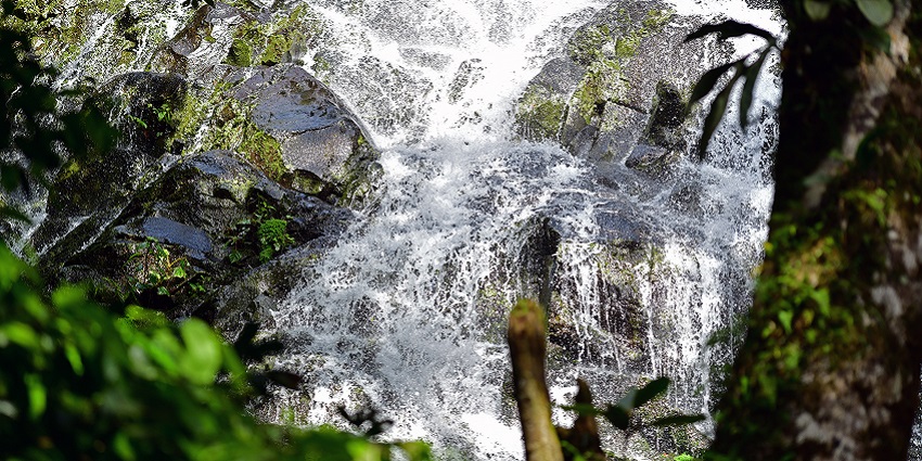 National Park Rincón De La Vieja renders a serene atmosphere.