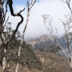 A picture of a hilly terrain at a national park in West Bengal