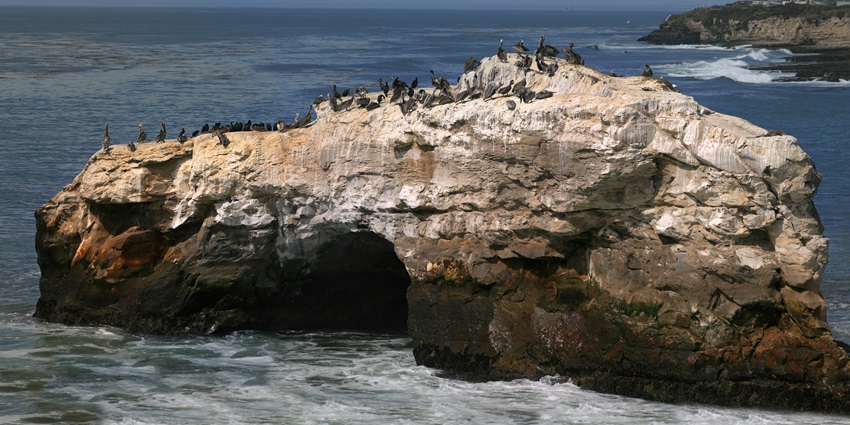 A picture of a cliff in the Natural Bridge State Park in Virginia, with birds resting on it