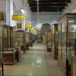 A view of the Nehru Children's Museum, a large colonial building in Kolkata, India.