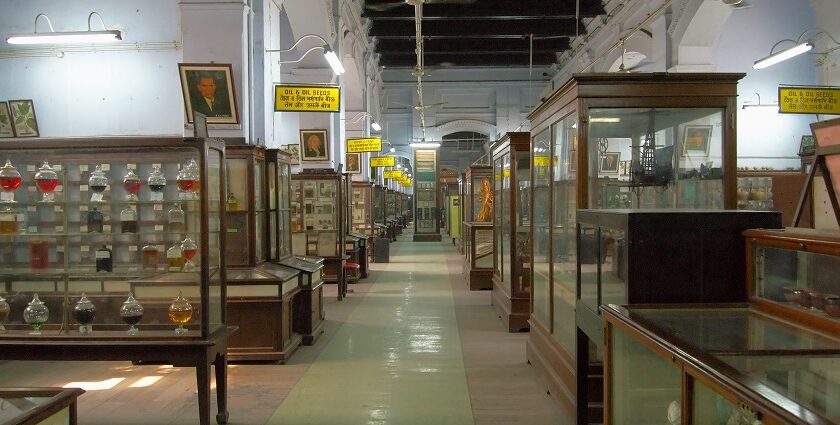 A view of the Nehru Children's Museum, a large colonial building in Kolkata, India.