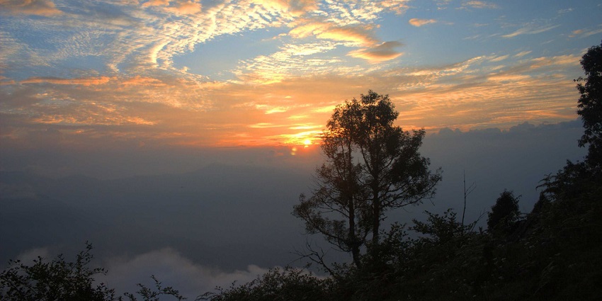 Neora Valley National Park is in the district of Kalimpong, West Bengal