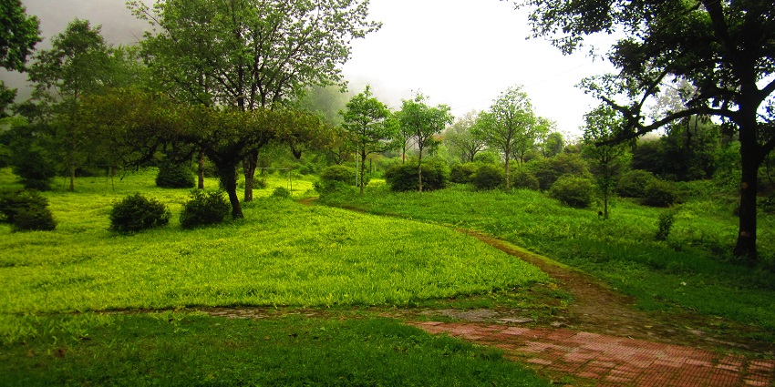 Lush greenery, along with views of various bird species at one of the national parks.