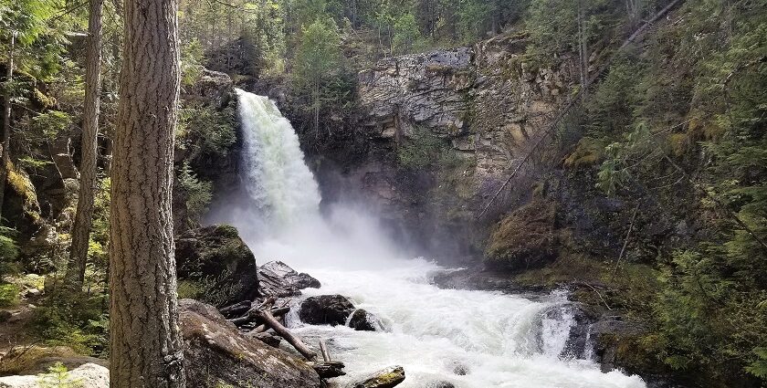 Breathtaking beauty awaits at every New Zealand waterfalls adventure spot.