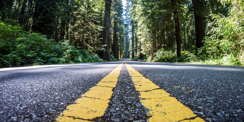 An image of a road through Newton B. Drury Scenic Parkway, a famous place near Redwood National Park, USA.