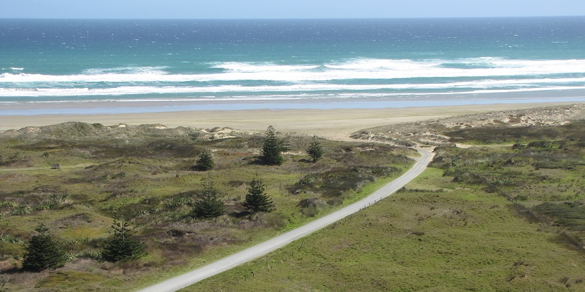 A peaceful road to Ninety Mile Beach, one of the top beaches in New Zealand