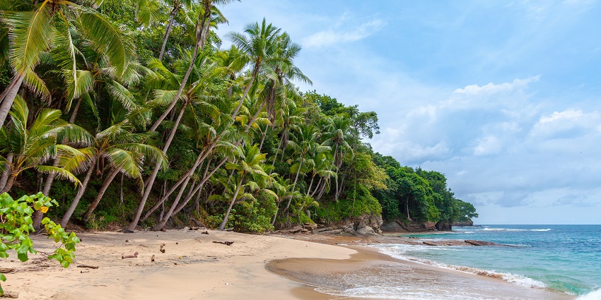 Noosa Main Beach is one of the quintessential beaches in Queensland, Australia.