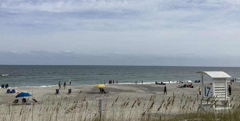 Sunny beach in Carolina Beach, North Carolina, with gentle waves and a clear blue sky.