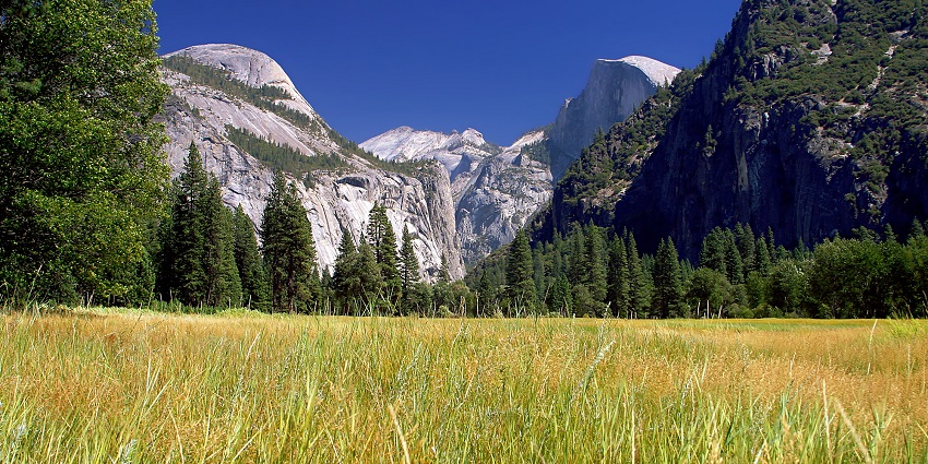 View of Yosemite meadows with vibrant green grass and distant mountains