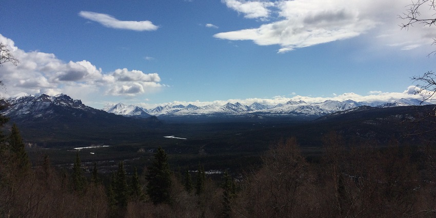 Stunning view of the unspoiled nature in Denali National Park.