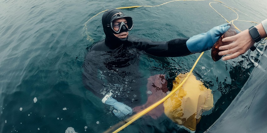 An image of a Scuba diving instructor guides divers through Tarkarli underwater terrain