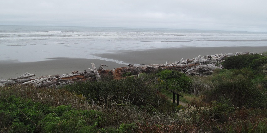 South Beach in Olympic National Park offers stunning ocean views and a rugged coastline.