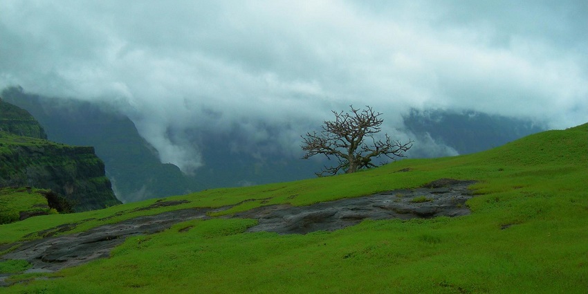 An image of a wide-angle shot of Naneghat Trek amidst beautiful natural scenery.