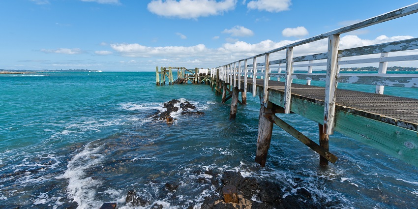 A view of the region from Rangitoto Dock at Rangitoto Island.