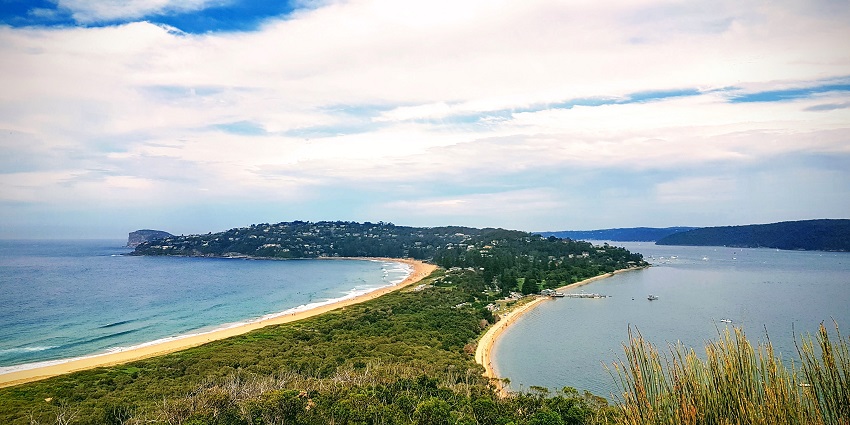 Discover the stunning coastline of the famous Palm Beach in Australia.