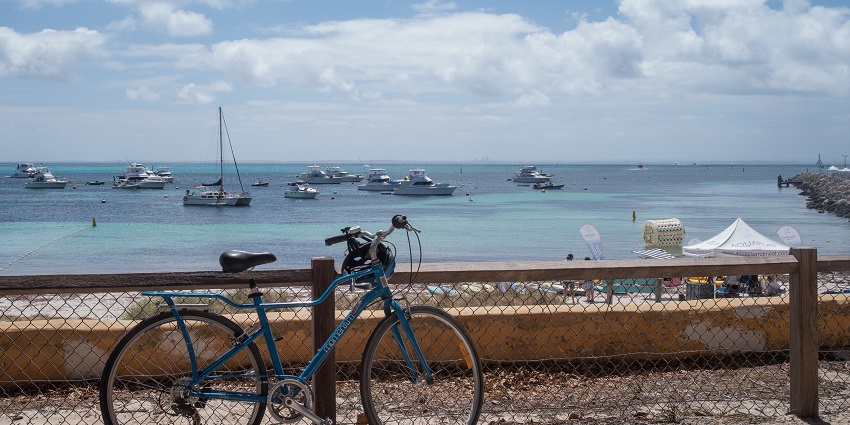 Cycling through Rottnest Island’s scenic paths for an eco-friendly adventure.