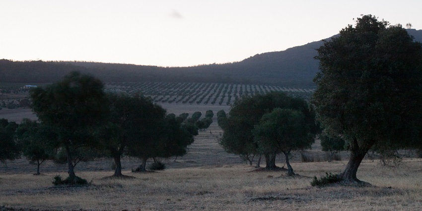 Panoramic views and scenic trails in Grampians National Park.