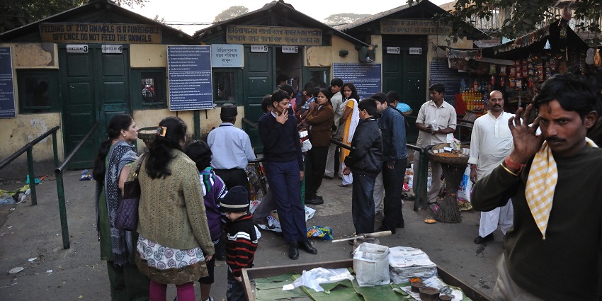 Mini Markets and shopping places you can explore