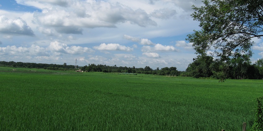 A view of the beautiful surroundings around the Chandraketugarh region.