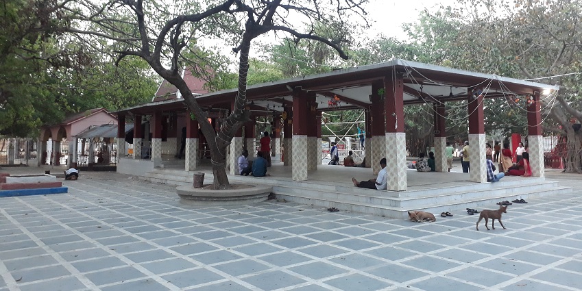 A view of the complex of Kankalitala Temple, full of devotees, offering prayers.