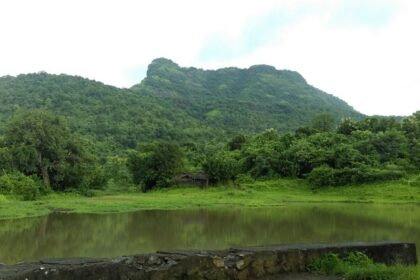 Scenic view of Palghar’s hills and greenery, showcasing its natural beauty.