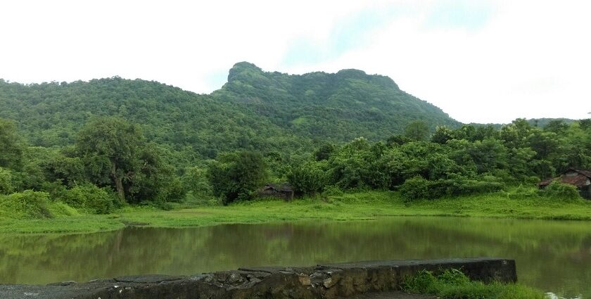 Scenic view of Palghar’s hills and greenery, showcasing its natural beauty.