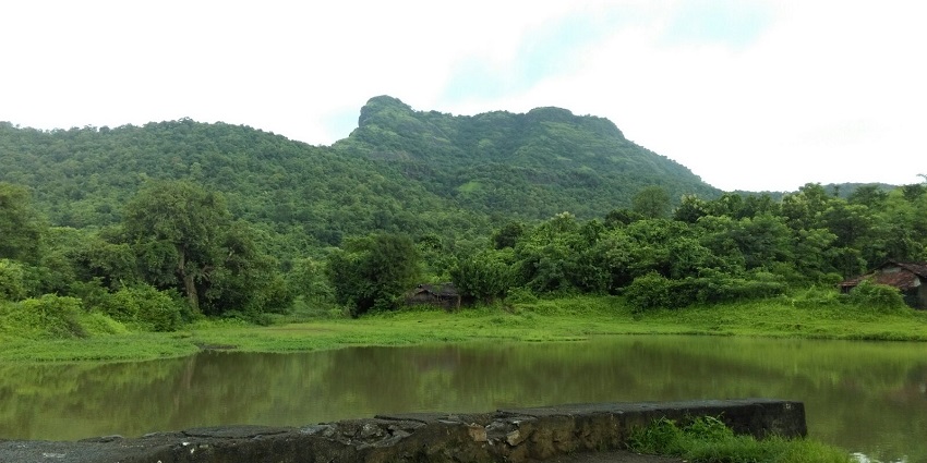 An image view from Palghar Hill showcasing rolling hills, one of the best palghar trekking destinations.