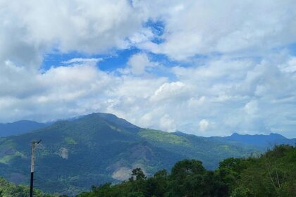 An image of a trekker admiring the village route in the greenery around Panvel.