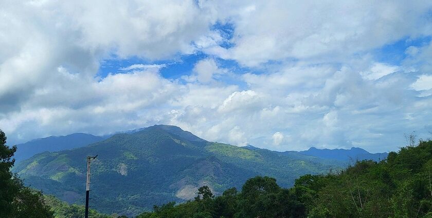 An image of a trekker admiring the village route in the greenery around Panvel.