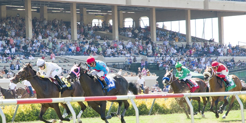 A view of Jockeys riding their horses during a race with people cheering in the background.