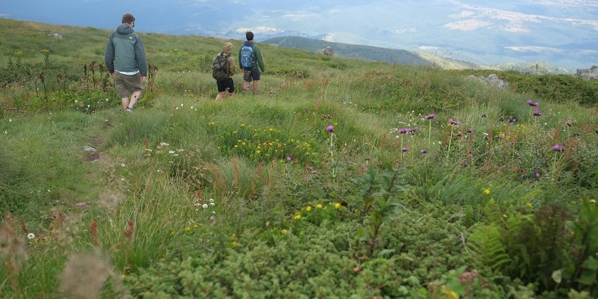 Trekking in Mukteshwar offers stunning views of the Himalayas and nature.
