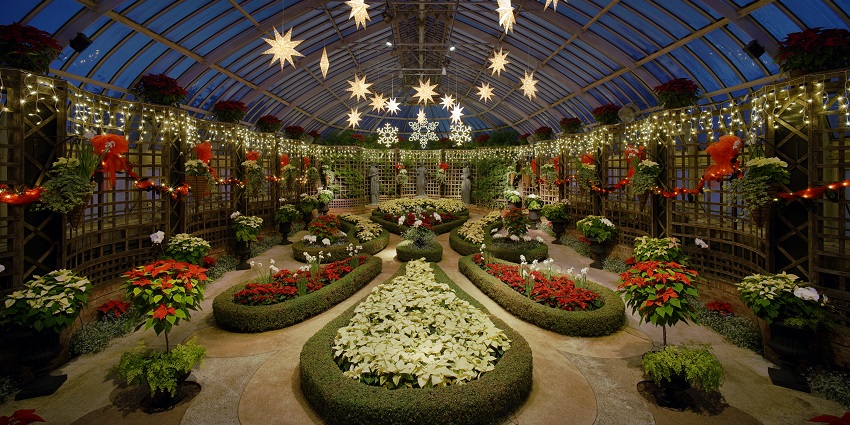 An Image of Phipps Conservatory in Pittsburgh, a popular place near the Andy Warhol Museum.