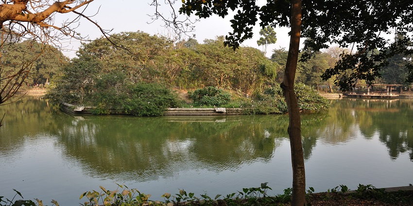 A view of the lake at Alipore Zoo, which is the best spot to offer a peaceful walk.