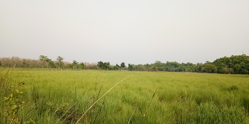 A picture of Swarna Jayanti Park, which is a popular thing to do in Ghaziabad.