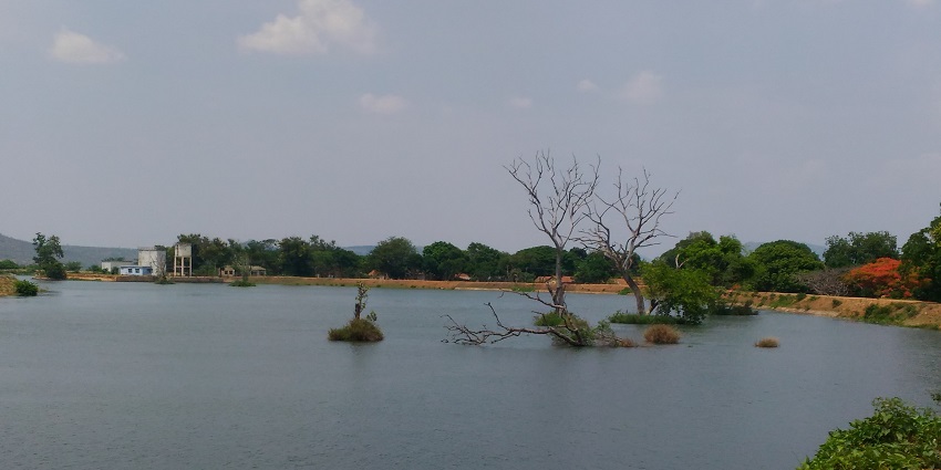Moyar River offers serene waters, nature, and relaxation await.