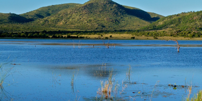 Serene view of Pilanesberg National Park, a place to visit in South Africa